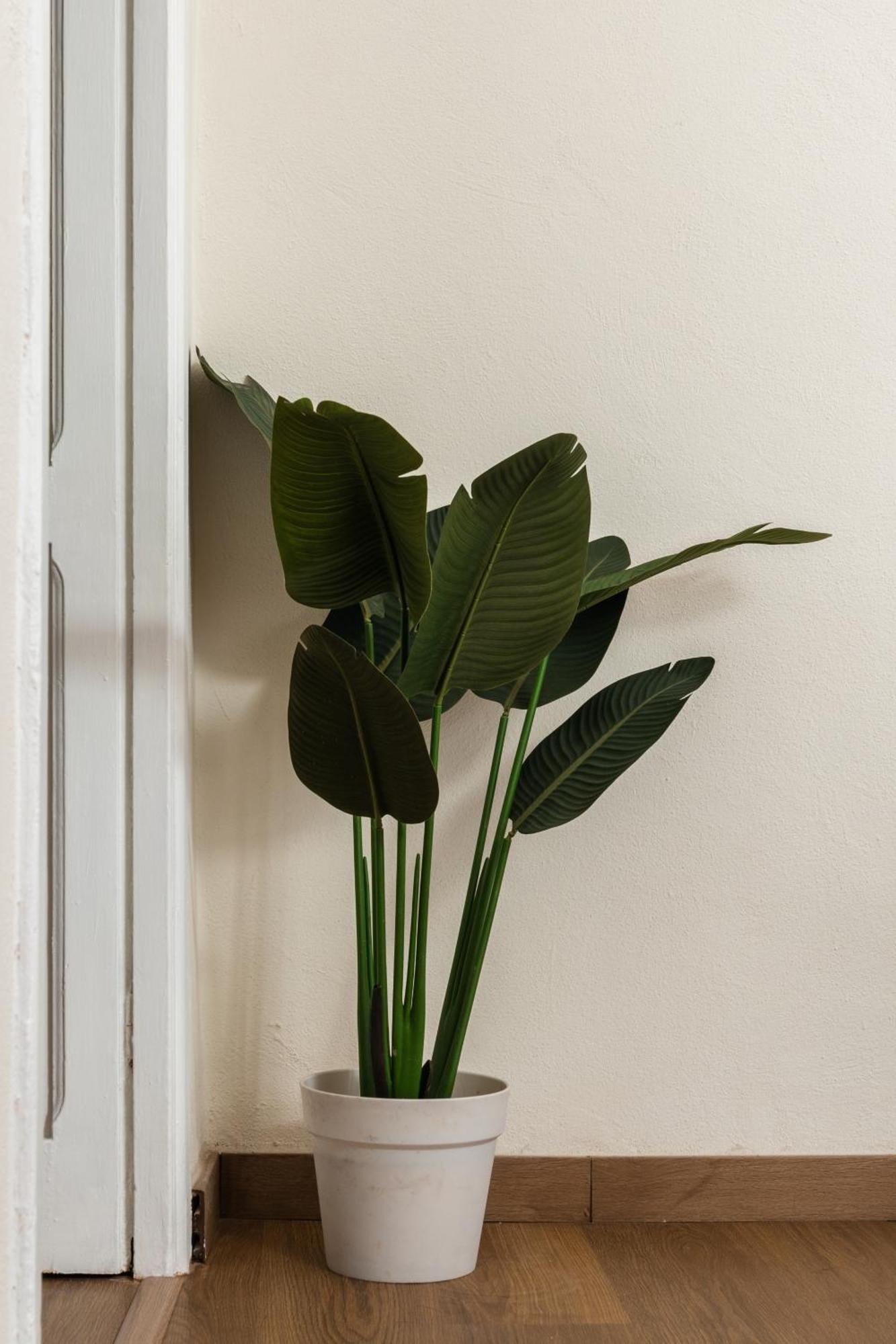 Cozy Historical Flat Napoli Leilighet Eksteriør bilde